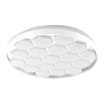 LED Dimmable ceiling light LED/60W/230V 3000/4000/6500K + remote control