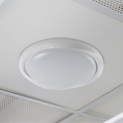 LED Dimmable ceiling light LED/60W/230V 3000-6500K 49,2 cm white + remote control