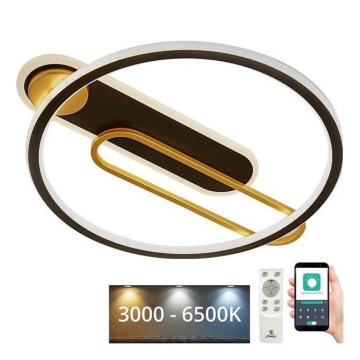 LED Dimmable ceiling light LED/60W/230V 3000-6500K black + remote control