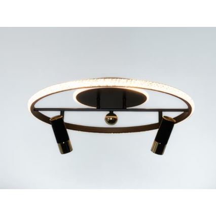 LED Dimmable ceiling light LED/60W/230V 3000-6500K black + remote control