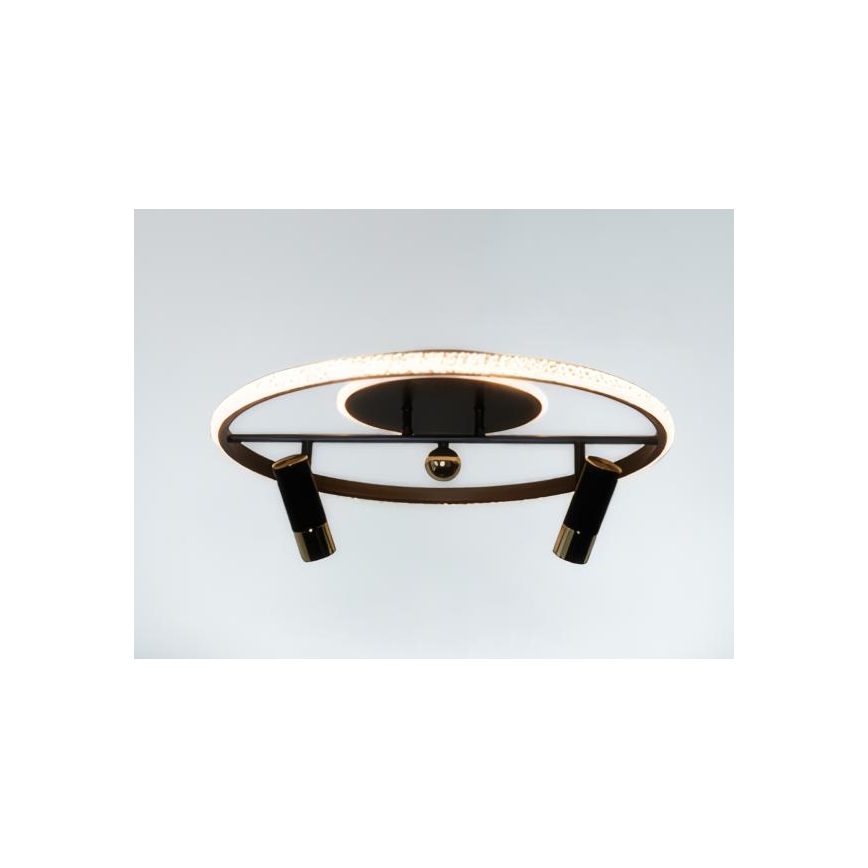LED Dimmable ceiling light LED/60W/230V 3000-6500K black + remote control