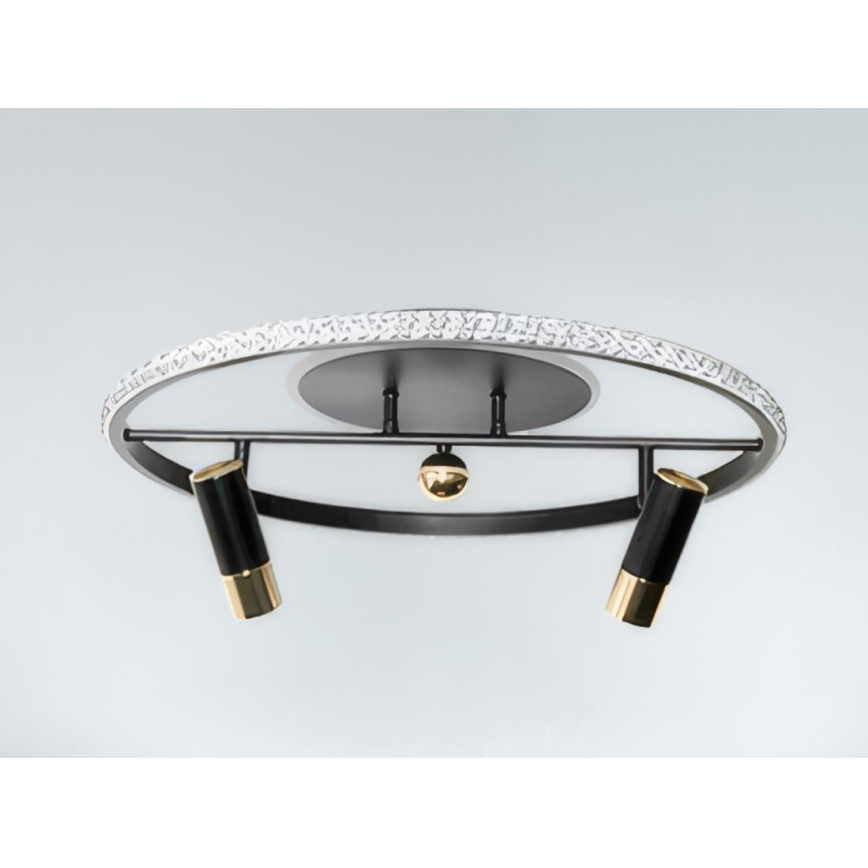 LED Dimmable ceiling light LED/60W/230V 3000-6500K black + remote control
