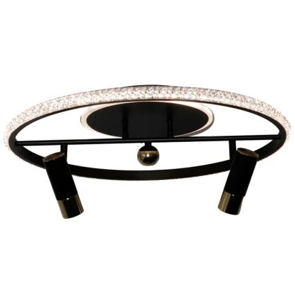LED Dimmable ceiling light LED/60W/230V 3000-6500K black + remote control
