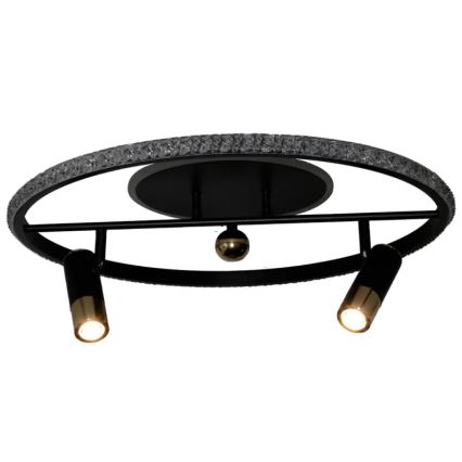 LED Dimmable ceiling light LED/60W/230V 3000-6500K black + remote control