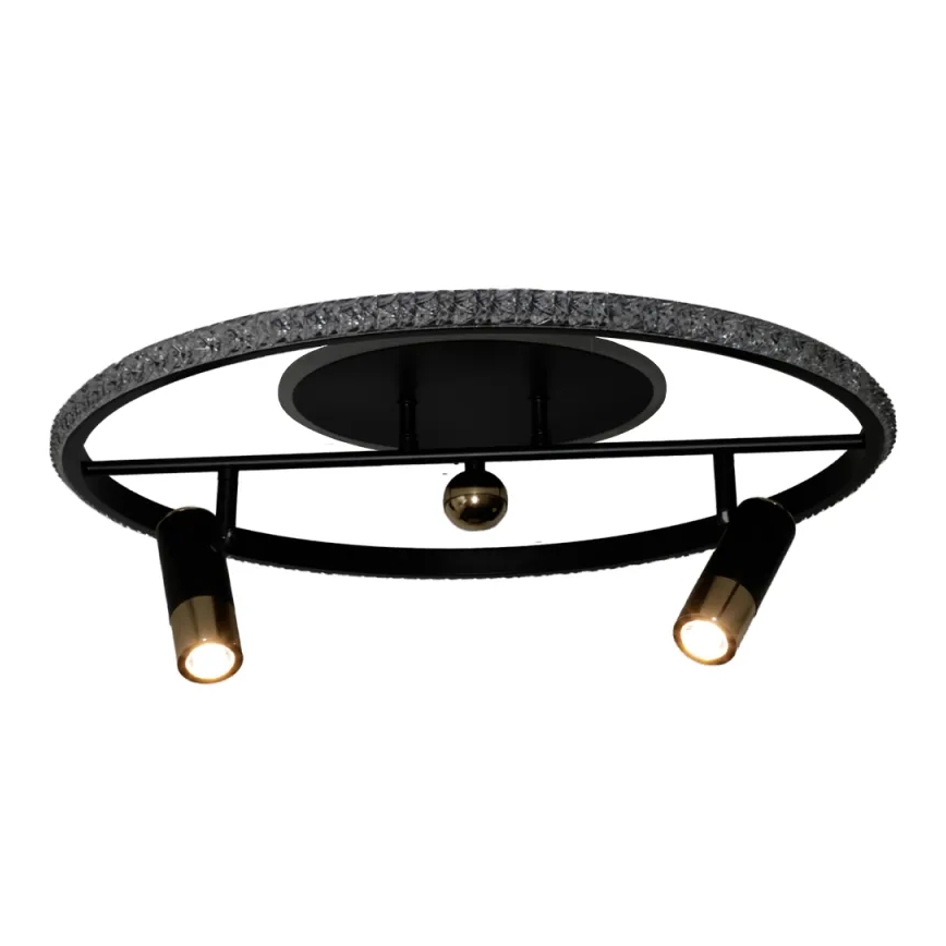 LED Dimmable ceiling light LED/60W/230V 3000-6500K black + remote control