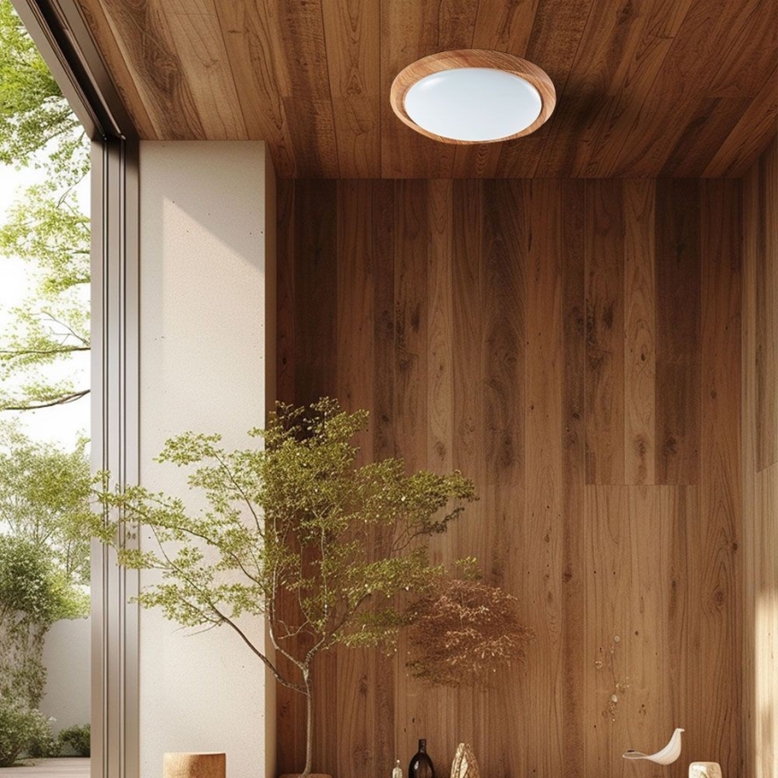 LED Dimmable ceiling light LED/60W/230V 3000-6500K + remote control