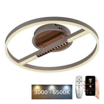 LED Dimmable ceiling light LED/60W/230V 3000-6500K + remote control