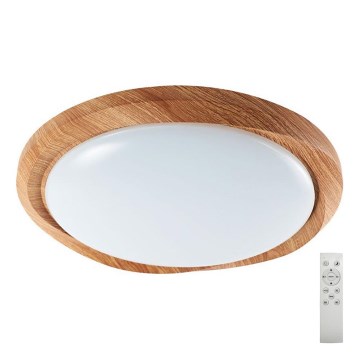 LED Dimmable ceiling light LED/60W/230V 3000-6500K + remote control