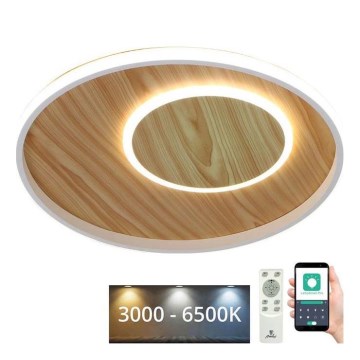 LED Dimmable ceiling light LED/65W/230V 3000-6500K brown + remote control