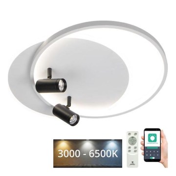 LED Dimmable ceiling light LED/65W/230V 3000-6500K white + remote control