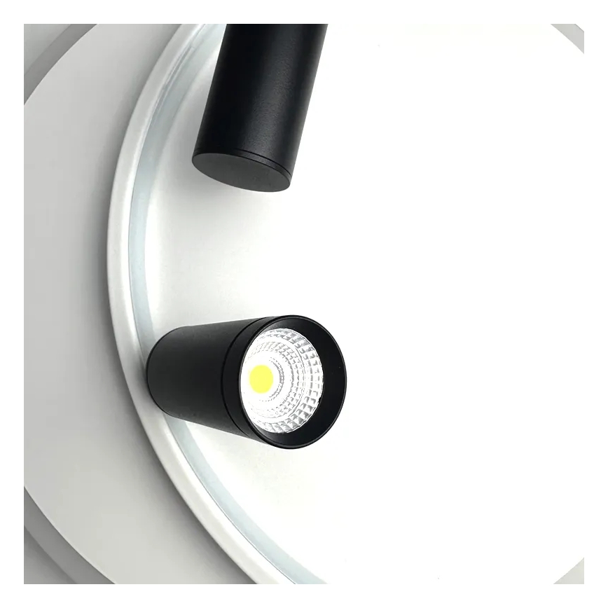 LED Dimmable ceiling light LED/65W/230V 3000-6500K white + remote control