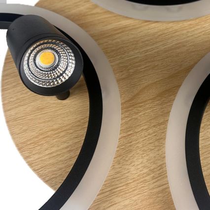 LED Dimmable ceiling light LED/70W/230V 3000-6500K black/brown + remote control