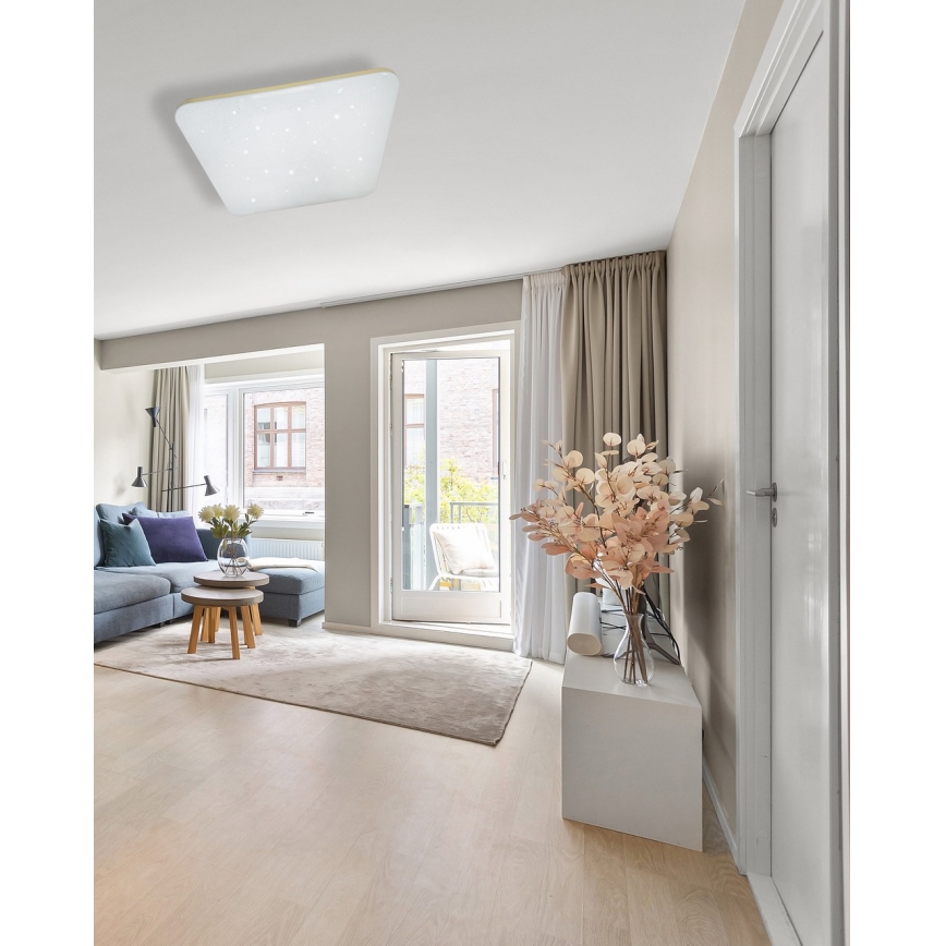 LED Dimmable ceiling light MANA LED/60W/230V 2700-6500K 53x53 cm + remote control