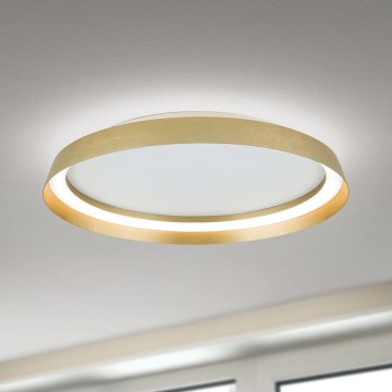 LED Dimmable ceiling light MANTA LED/38W/230V 2700/3000/4000K d. 45 cm gold
