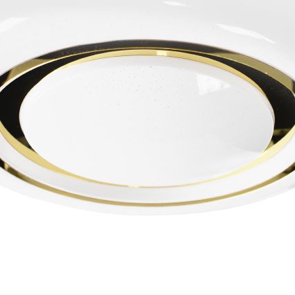 LED Dimmable ceiling light MEGAN LED/48W/230V 3000-6000K + remote control