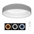 LED Dimmable ceiling light NEST LED/40W/230V 3000-6500K grey + remote control