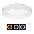 LED Dimmable ceiling light NEST LED/40W/230V 3000-6500K white