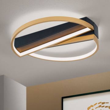 LED Dimmable ceiling light OLGA LED/28W/230V gold/black
