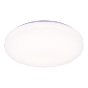 LED Dimmable ceiling light OPAL LED/48W/230V 2700-6500K Wi-Fi Tuya white + remote control