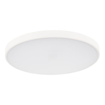 LED Dimmable ceiling light PLAFON LED/20W/230V 3000-6500K Wi-Fi white