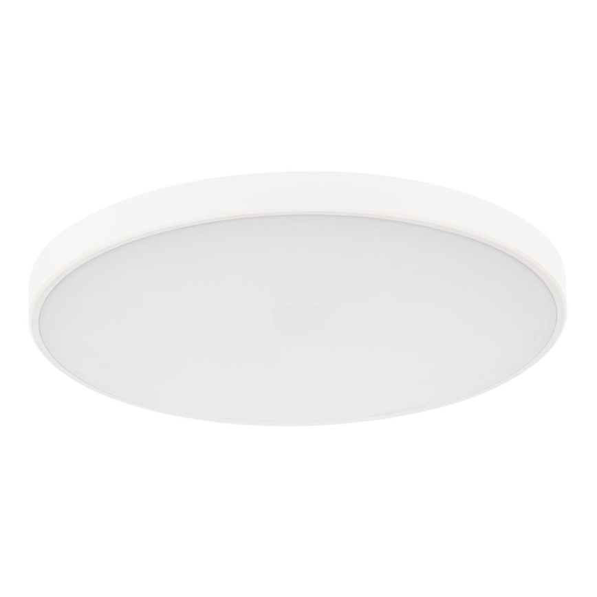 LED Dimmable ceiling light PLAFON LED/20W/230V 3000-6500K Wi-Fi white