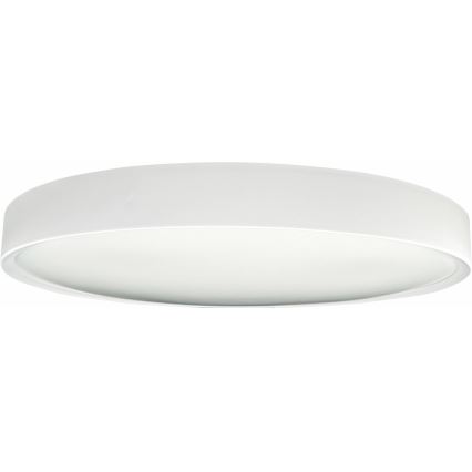 LED Dimmable ceiling light SAMER LED/40W/230V 2900-6000K + remote control