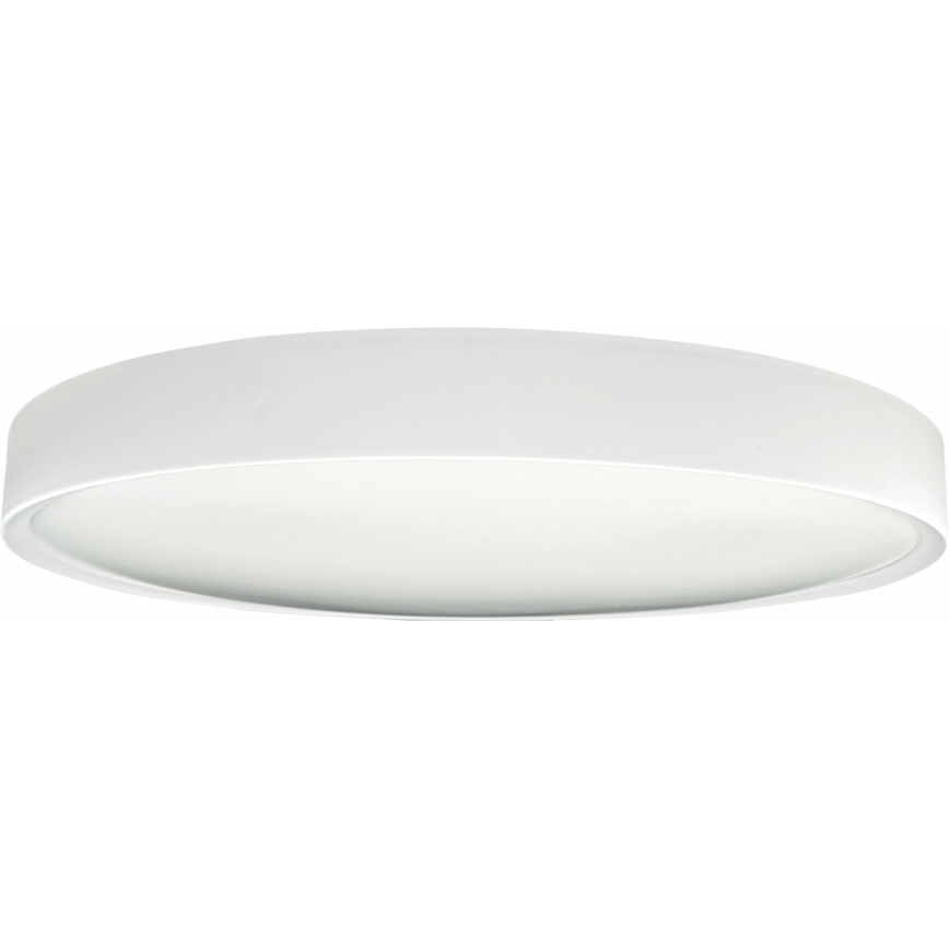 LED Dimmable ceiling light SAMER LED/40W/230V 2900-6000K + remote control