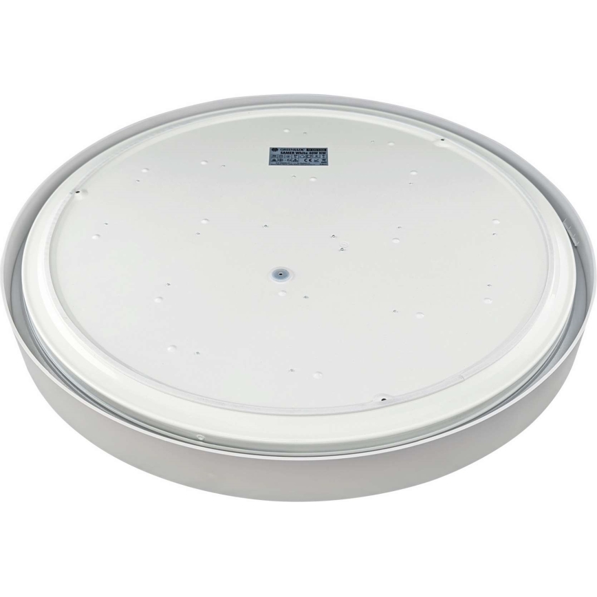 LED Dimmable ceiling light SAMER LED/40W/230V 2900-6000K + remote control