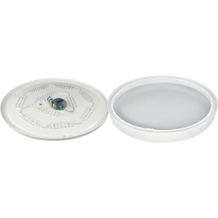 LED Dimmable ceiling light SAMER LED/40W/230V 2900-6000K + remote control