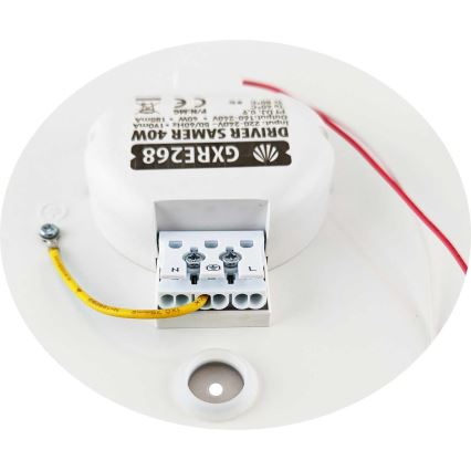 LED Dimmable ceiling light SAMER LED/40W/230V 2900-6000K + remote control