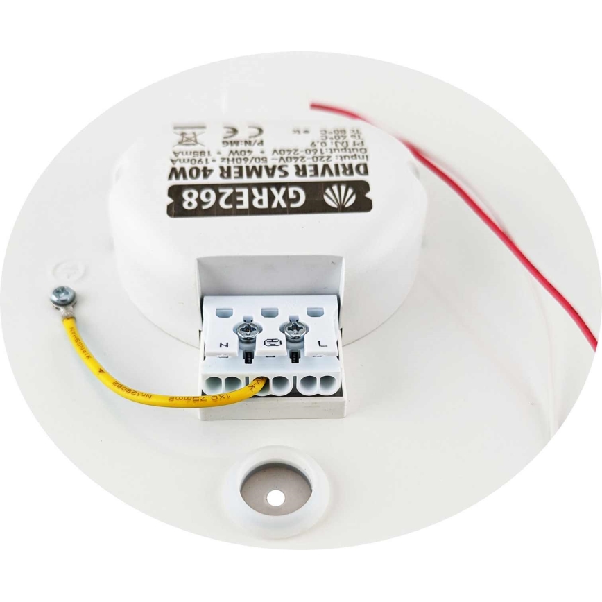 LED Dimmable ceiling light SAMER LED/40W/230V 2900-6000K + remote control