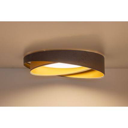 LED Dimmable Ceiling Light SMART GALAXY MODERN LED/24W/230V 3000-6500K Ø 55 cm gray/beige/gold + remote control