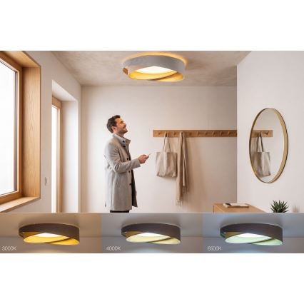 LED Dimmable Ceiling Light SMART GALAXY MODERN LED/24W/230V 3000-6500K Ø 55 cm gray/beige/gold + remote control