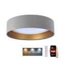 LED Dimmable ceiling light SMART GALAXY LED/24W/230V d. 45 cm 2700-6500K Wi-Fi Tuya grey/gold + remote control