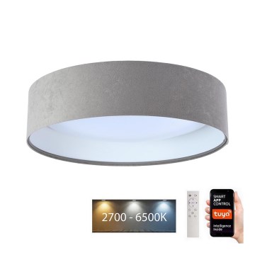 LED Dimmable ceiling light SMART GALAXY LED/24W/230V d. 45 cm 2700-6500K Wi-Fi Tuya grey/white + remote control