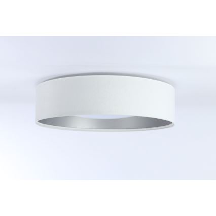 LED Dimmable ceiling light SMART GALAXY LED/24W/230V d. 44 cm white/silver 3000-6500K + remote control