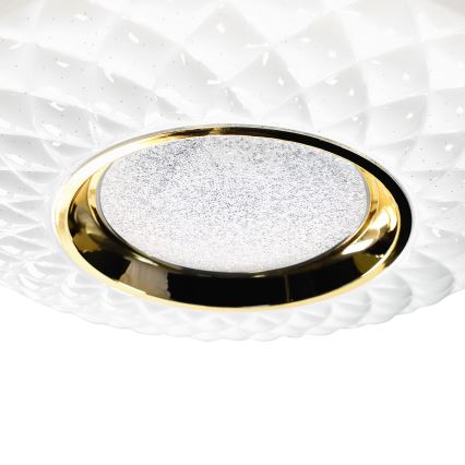 LED Dimmable ceiling light TOKYO LED/48W/230V 3000-6000K + remote control