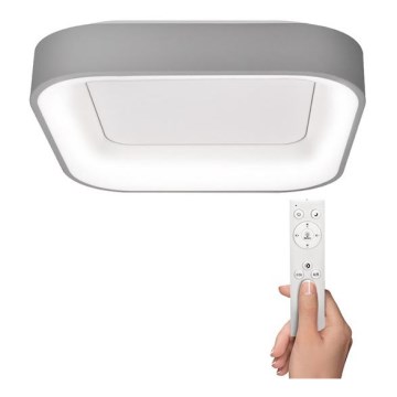 LED Dimmable ceiling light TREVISO LED/48W/230V + remote control