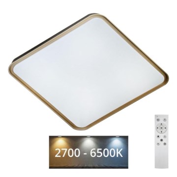 LED Dimmable ceiling light UNA LED/60W/230V 2700-6500K 50x50 cm + remote control