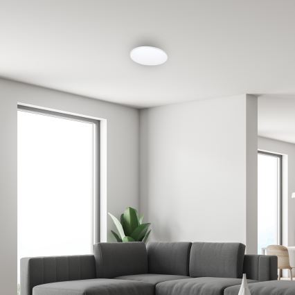 LED Dimmable ceiling light with a remote control SIENA LED/25W/230V