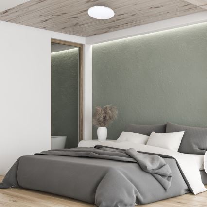 LED Dimmable ceiling light with a remote control SIENA LED/25W/230V