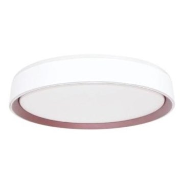 LED Dimmable ceiling light with voice control OPAL LED/48W/230V 2700-6500K white + remote control