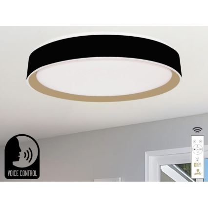 LED Dimmable ceiling light with voice control OPAL LED/48W/230V 2700-6500K black + remote control