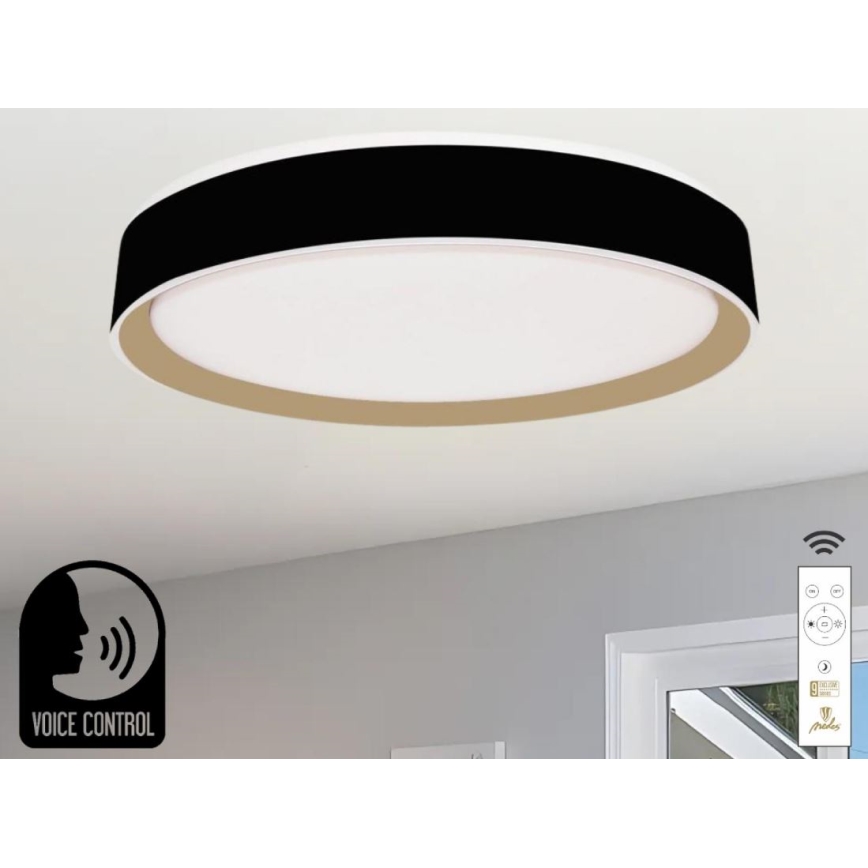 LED Dimmable ceiling light with voice control OPAL LED/48W/230V 2700-6500K black + remote control