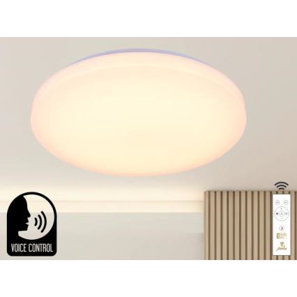LED Dimmable ceiling light with voice control OPAL LED/48W/230V 2700-6500K white + remote control