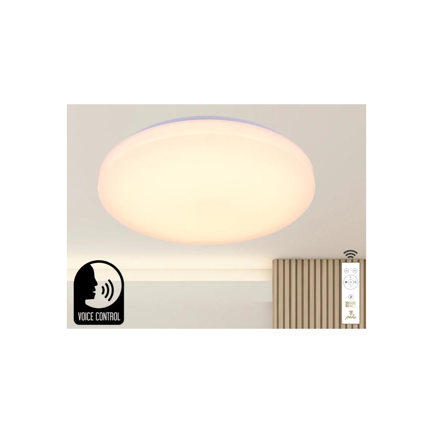 LED Dimmable ceiling light with voice control OPAL LED/48W/230V 2700-6500K white + remote control