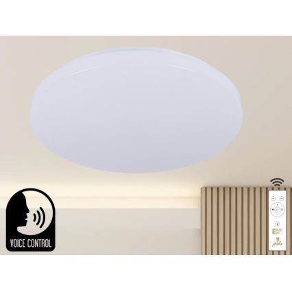 LED Dimmable ceiling light with voice control OPAL LED/48W/230V 2700-6500K white + remote control