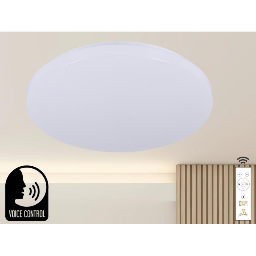LED Dimmable ceiling light with voice control OPAL LED/48W/230V 2700-6500K white + remote control