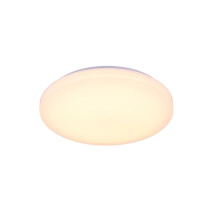 LED Dimmable ceiling light with voice control OPAL LED/48W/230V 2700-6500K white + remote control
