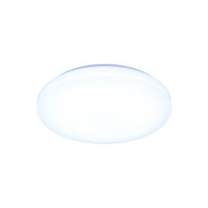 LED Dimmable ceiling light with voice control OPAL LED/48W/230V 2700-6500K white + remote control